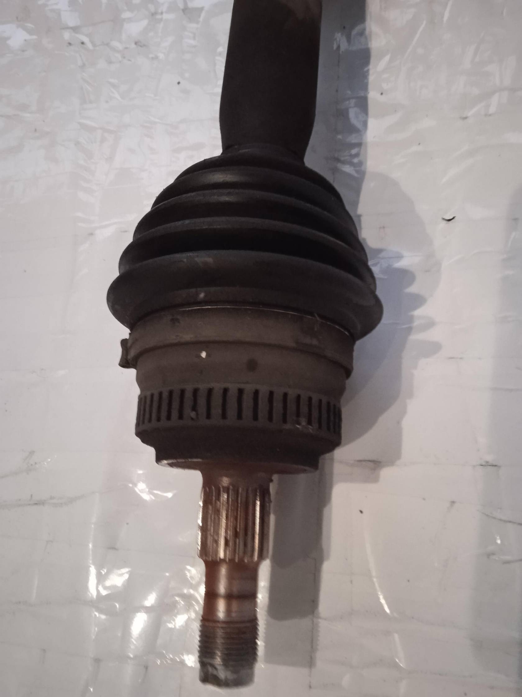 Semialbero ant. compl. dx.